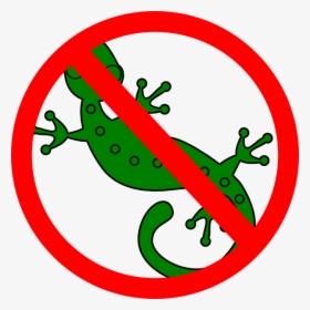 No Lizard Allowed Sign, HD Png Download, Free Download