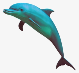 Dolphin Emoji Png, Transparent Png, Free Download