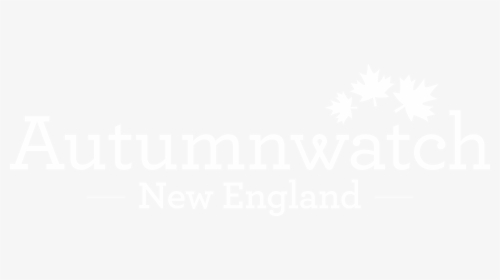 Autumnwatch New England Pbs, HD Png Download, Free Download