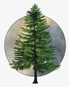 Evergreen Tree Silhouette, HD Png Download, Free Download