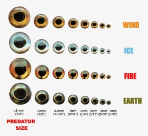 Fish Skull Living Eyes 10mm Ice "     Data Rimg="lazy"  - 3d Eyes For Fishing Lures, HD Png Download, Free Download