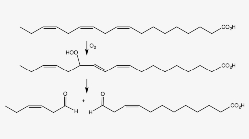 File - O2aselyasefatty - Lipoxygenase Structure, HD Png Download, Free Download