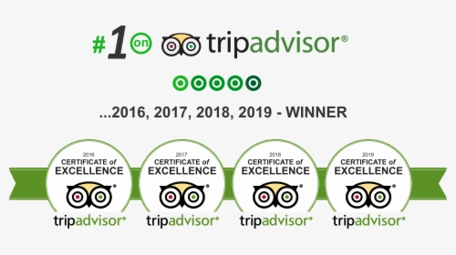 Tripadvisor Certificate Of Excellence 2019 2018 2017, HD Png Download, Free Download