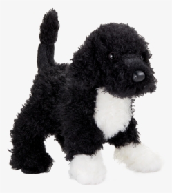 Black And White Portuguese Water Dog Ornament, HD Png Download, Free Download