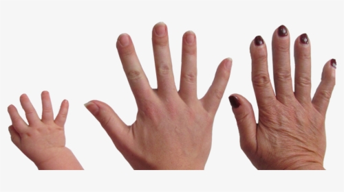 Sign Language, HD Png Download, Free Download