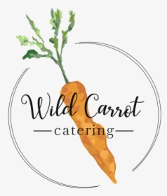 Wild Carrot Catering - Baby Carrot, HD Png Download, Free Download