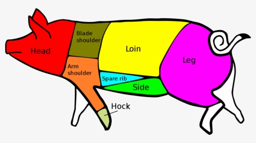 Primary Cuts Of Pork, HD Png Download, Free Download