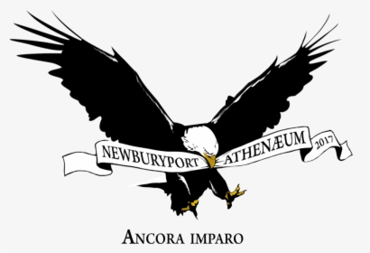 Ncm Hub Athenaeum Logo - Golden Eagle, HD Png Download, Free Download