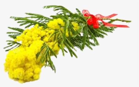 Goldenrod Drawing Watercolor, HD Png Download, Free Download