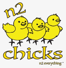 N2 Chicks - Baby Chicks Clip Art, HD Png Download, Free Download