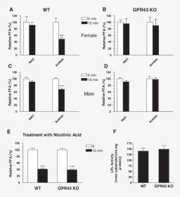 Plasma Ffa In Mice, HD Png Download, Free Download
