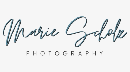 Marie Scholz Photography - Calligraphy, HD Png Download, Free Download