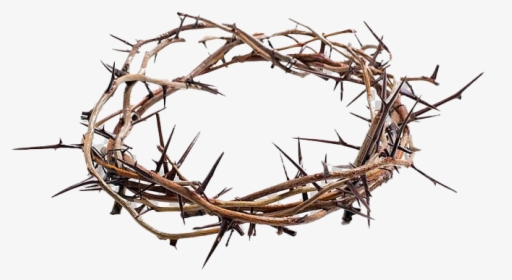 Download Crown Of Thorns Png Images Free Transparent Crown Of Thorns Download Kindpng