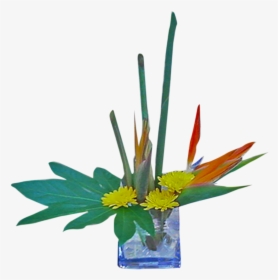 Bird Of Paradise, HD Png Download, Free Download