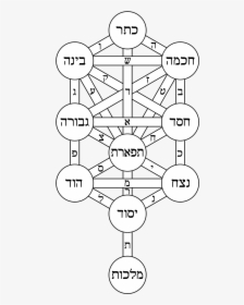 Tree Of Life Kabbalah, HD Png Download, Free Download