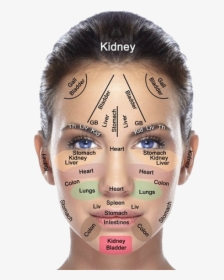 Spots On Face Diagram, HD Png Download, Free Download