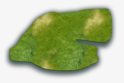 Grass, HD Png Download, Free Download