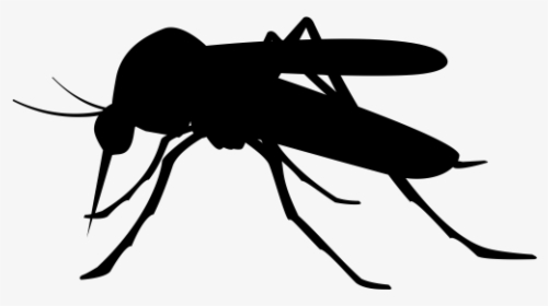 Isntd Mosquito - Mosquito Vector Silhouette Png, Transparent Png, Free Download