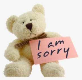 Funny Sorry, HD Png Download, Free Download