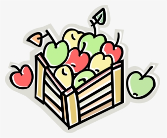 Vector Illustration Of Apple Orchard Harvest Crate - Bartering Trade, HD Png Download, Free Download