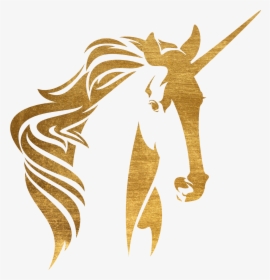 Unicorn Culture Coaching, HD Png Download, Free Download