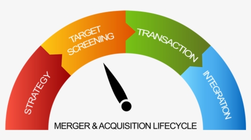 Lifecycle Chart Of A Merger And Acquisition - Circle, HD Png Download, Free Download