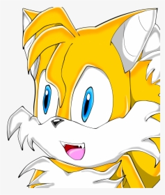 Tail Clipart Sonic Adventure - Cartoon, HD Png Download, Free Download