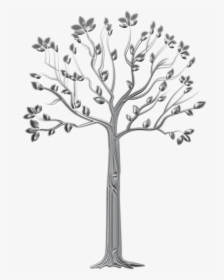 Plane-tree Family, HD Png Download, Free Download