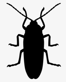Cockroach Mosquito Beetle Silhouette Pest - Black Cockroach Silhouette, HD Png Download, Free Download