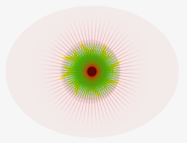 Circle, HD Png Download, Free Download