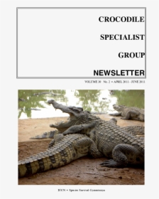 Nile Crocodile, HD Png Download, Free Download