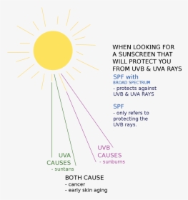 Diagram Of Suns Rays, HD Png Download, Free Download