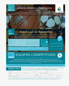 Información Para El Programa De Baloncesto De Avanti - Online Advertising, HD Png Download, Free Download