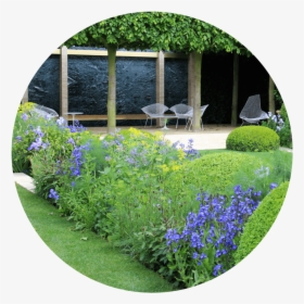Plant Benefits Divider - Bellflower, HD Png Download, Free Download