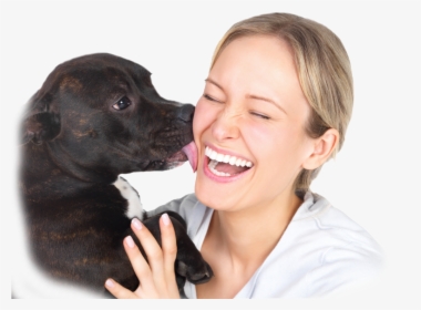 11 Formas Do Cachorr - Dogs Licking Want Your Bones, HD Png Download, Free Download