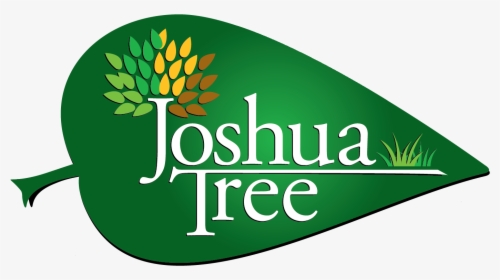 Joshua Tree, HD Png Download, Free Download
