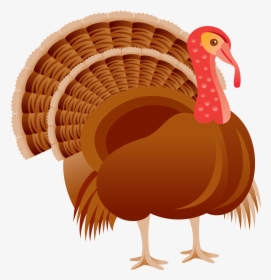 Thanksgiving Greeting Cards Png - Cartoon Transparent Realistic Turkey, Png Download, Free Download