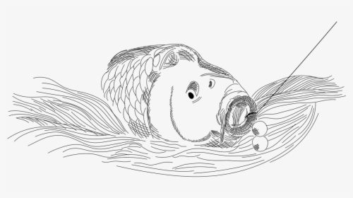 Boilie Carp Fish Free Photo - Sketch, HD Png Download, Free Download