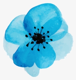 Aqua Watercolor Flower Png, Transparent Png, Free Download