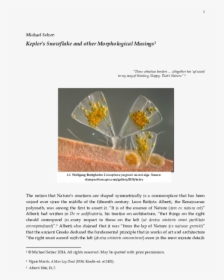 Brochure, HD Png Download, Free Download