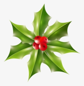 Portable Day Vector Graphics Christmas Network Clipart - Impatiens, HD Png Download, Free Download