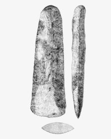 The Ancient Stone Implements 0113 - Swamp Birch, HD Png Download, Free Download