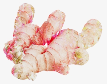 Untitled Design - High Resolution Ginger Root With Green Tea Png, Transparent Png, Free Download