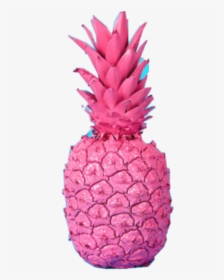 #pineapple #beach #pink #freetoedit - خلفيات انناس يلون الوردي, HD Png Download, Free Download