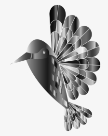 Transparent Hummingbird Clipart Images - Mandala Colibri A Color Png, Png Download, Free Download