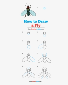 Fly Drawing Step By Step, HD Png Download, Free Download