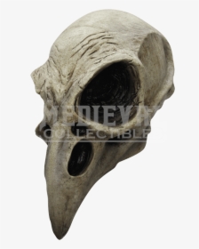 Skull Mask Png - Crow Skull Mask, Transparent Png, Free Download