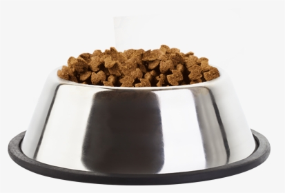 Comida Para Perros Png - Dog Bowl Png, Transparent Png, Free Download