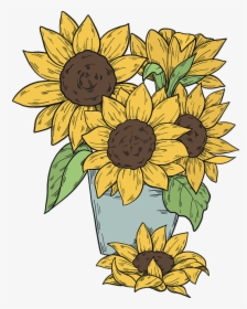 Sunflower, HD Png Download, Free Download