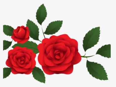 Rose Clipart Png, Transparent Png, Free Download